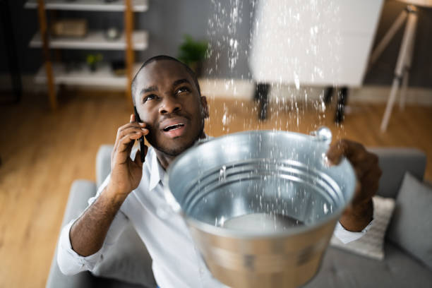 Best Water damage restoration near me  in Roscoe, IL