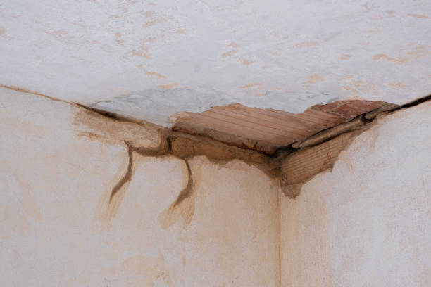 Reliable IL Water damage restoration Solutions