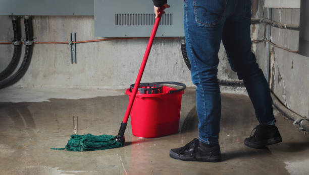 Best Commercial water damage restoration  in Roscoe, IL
