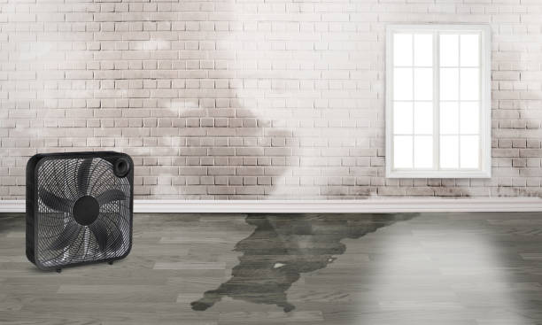 Best Emergency water damage restoration  in Roscoe, IL