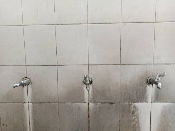 Best Flood damage cleanup  in Roscoe, IL