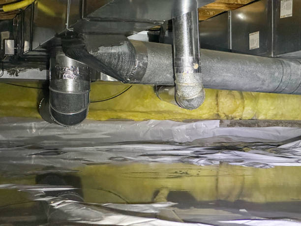 Best 24/7 water damage repair  in Roscoe, IL