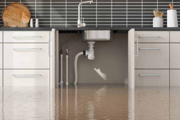Best Water damage restoration near me  in Roscoe, IL