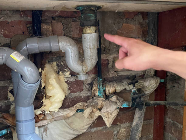 Best Flood restoration services  in Roscoe, IL